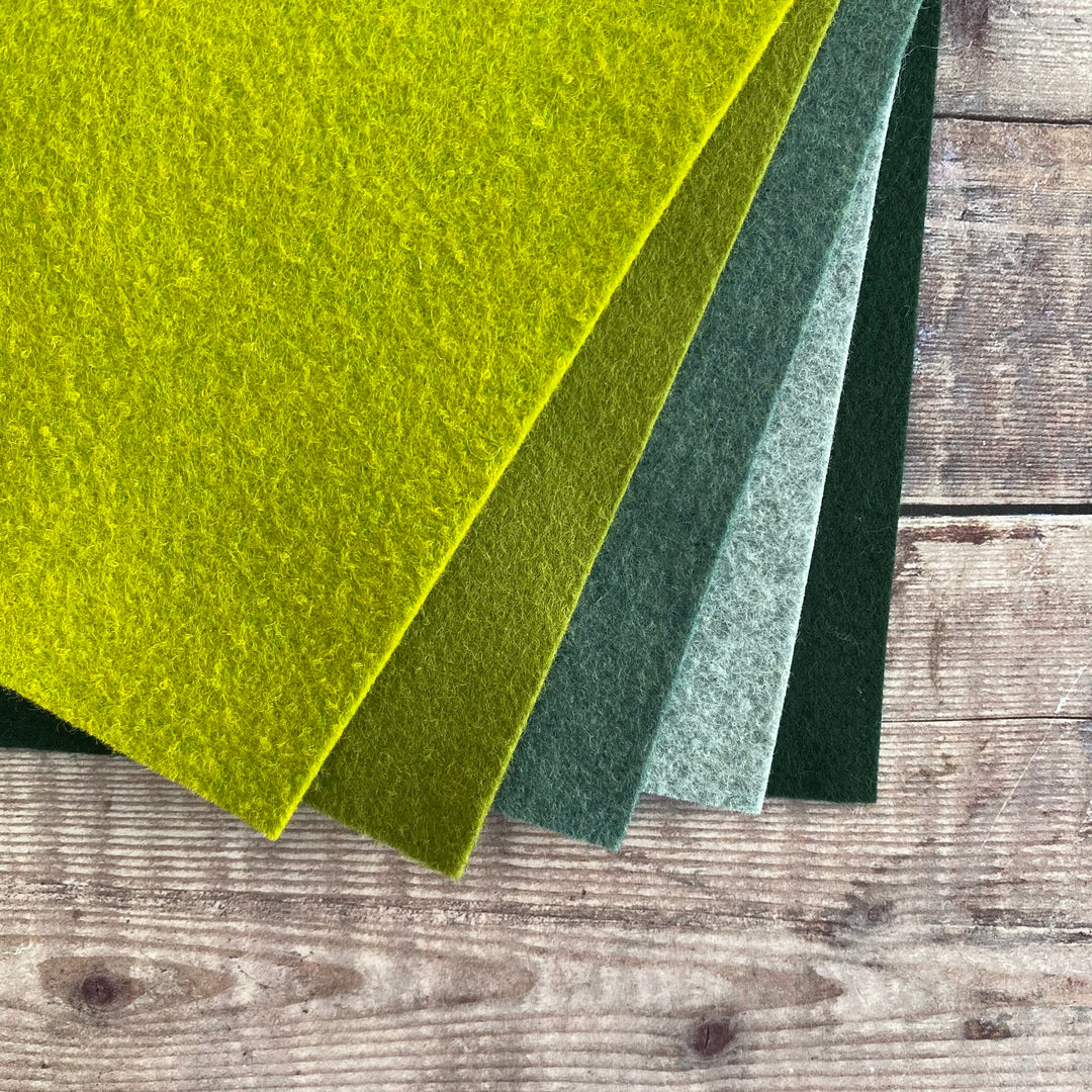 Felt pack: Evergreen Trailing Houseplant