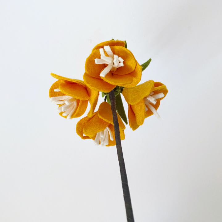 Crown Imperial Fritillary flower sample (orange)