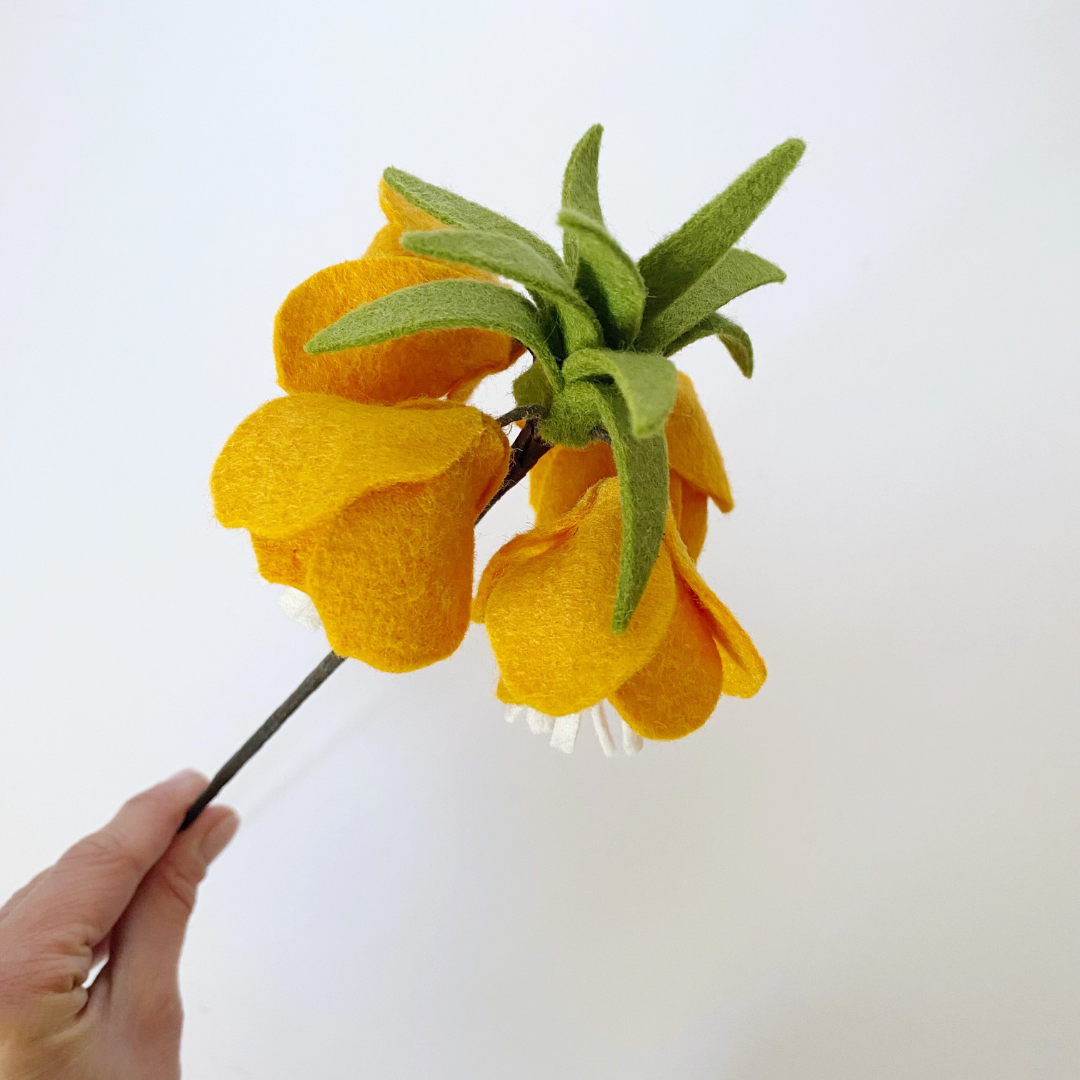 Crown Imperial Fritillary flower sample (orange)